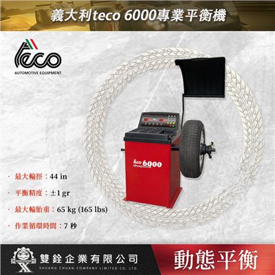 義大利teco 6000專業平衡機